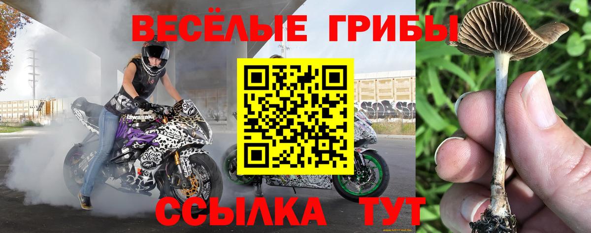 Псилоцибиновые грибы ЛСД Борзя